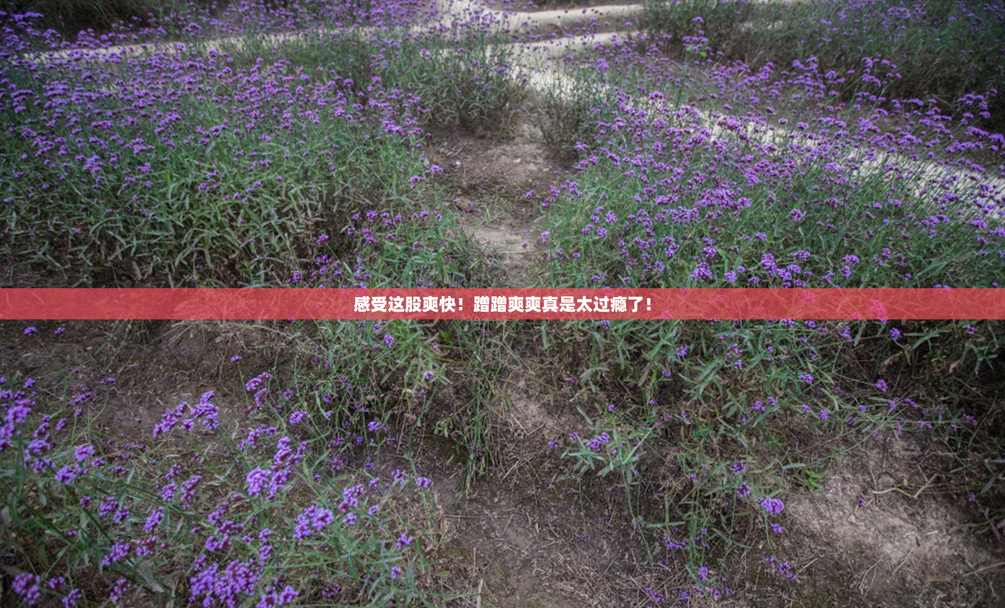 感受这股爽快！蹭蹭爽爽真是太过瘾了！