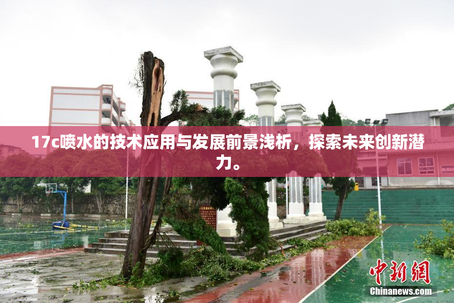 17c喷水的技术应用与发展前景浅析，探索未来创新潜力。