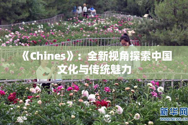 《Chines》：全新视角探索中国文化与传统魅力