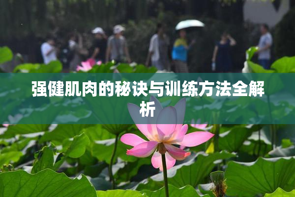 强健肌肉的秘诀与训练方法全解析
