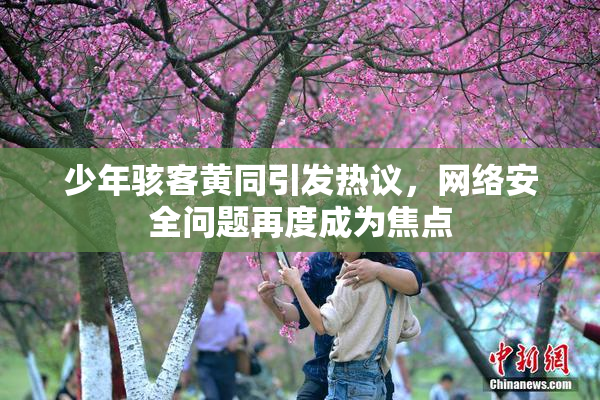 少年骇客黄同引发热议，网络安全问题再度成为焦点