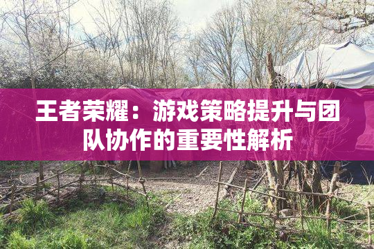 王者荣耀：游戏策略提升与团队协作的重要性解析