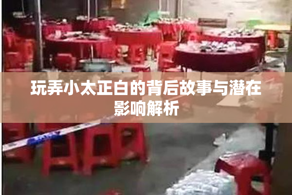 玩弄小太正白的背后故事与潜在影响解析