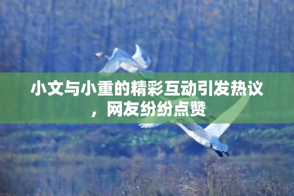 小文与小重的精彩互动引发热议，网友纷纷点赞