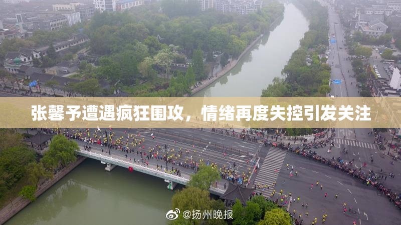 张馨予遭遇疯狂围攻，情绪再度失控引发关注