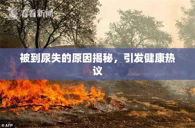 被到尿失的原因揭秘，引发健康热议