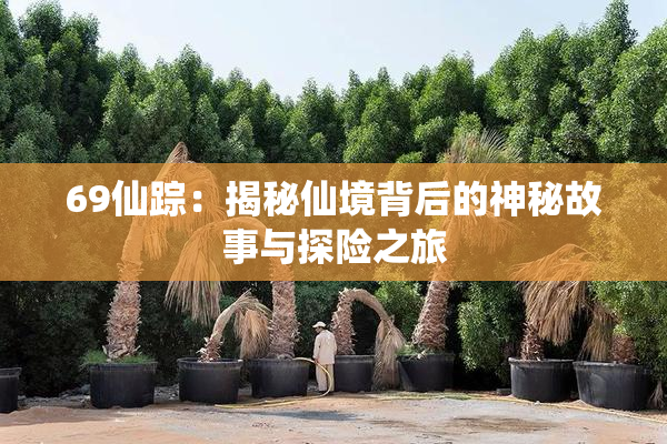 69仙踪：揭秘仙境背后的神秘故事与探险之旅