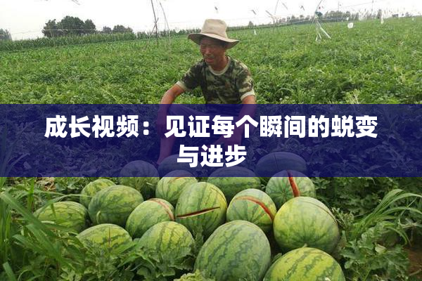 成长视频：见证每个瞬间的蜕变与进步