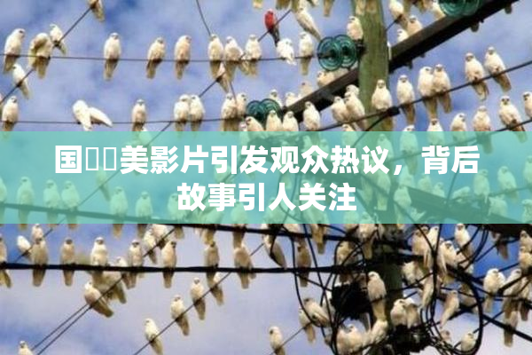 国產歐美影片引发观众热议，背后故事引人关注