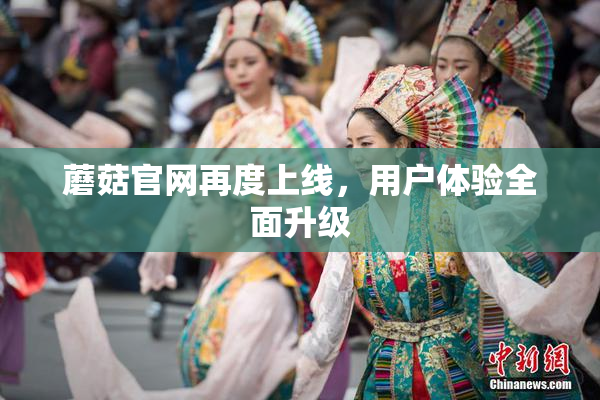 蘑菇官网再度上线，用户体验全面升级