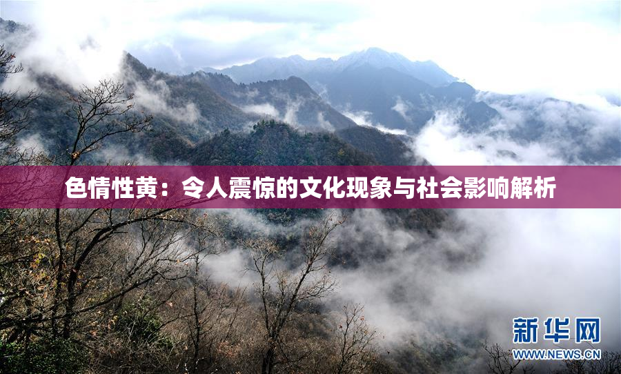 色情性黄：令人震惊的文化现象与社会影响解析