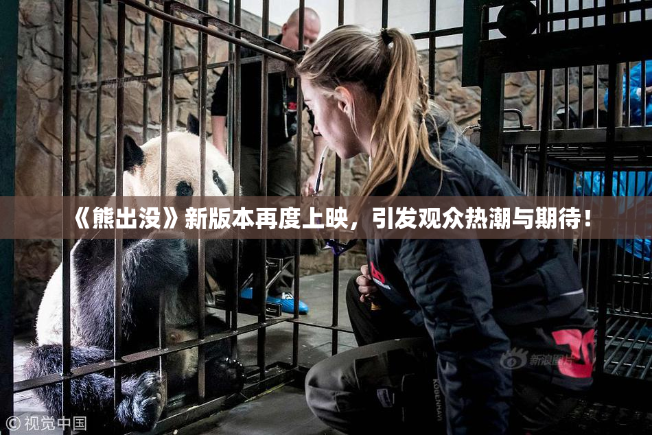 《熊出没》新版本再度上映，引发观众热潮与期待！