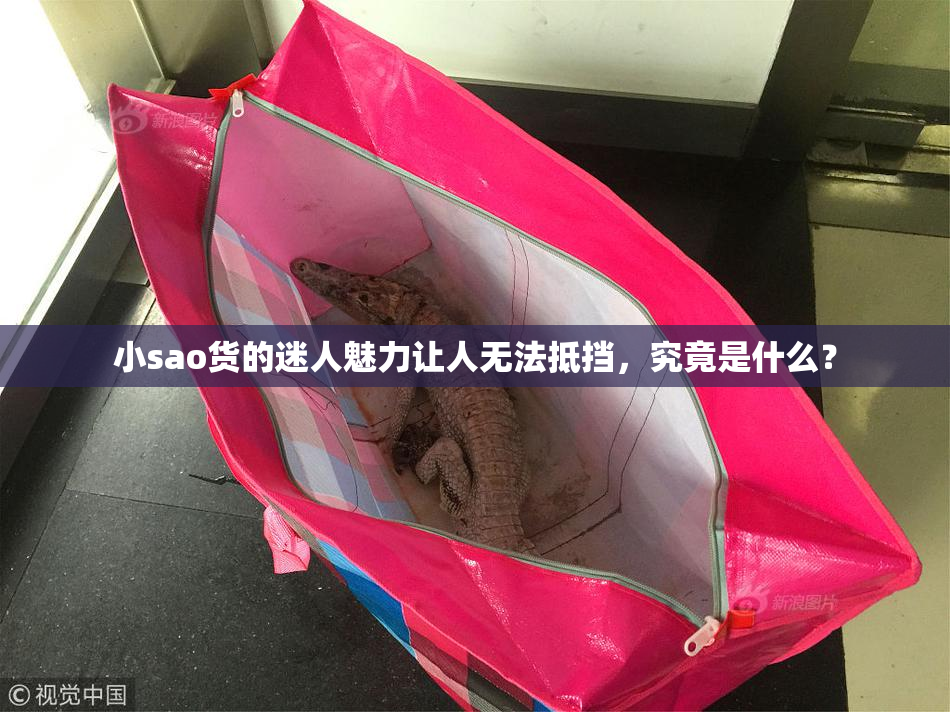 小sao货的迷人魅力让人无法抵挡，究竟是什么？