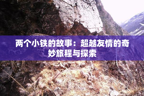 两个小铁的故事：超越友情的奇妙旅程与探索
