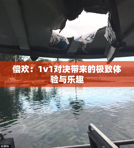 偿欢：1v1对决带来的极致体验与乐趣