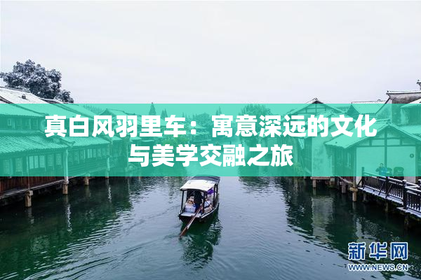 真白风羽里车：寓意深远的文化与美学交融之旅