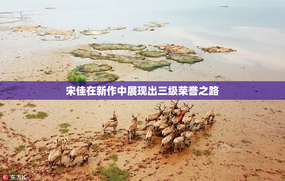 宋佳在新作中展现出三级荣誉之路