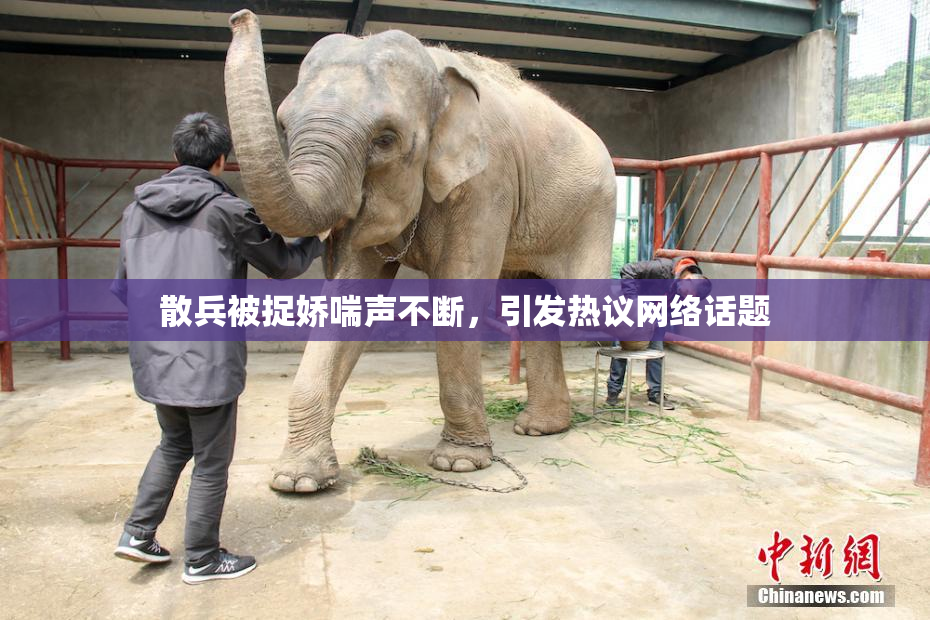 散兵被捉娇喘声不断，引发热议网络话题