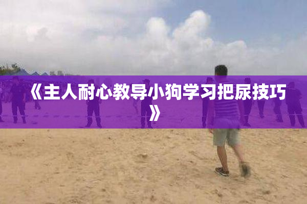 《主人耐心教导小狗学习把尿技巧》