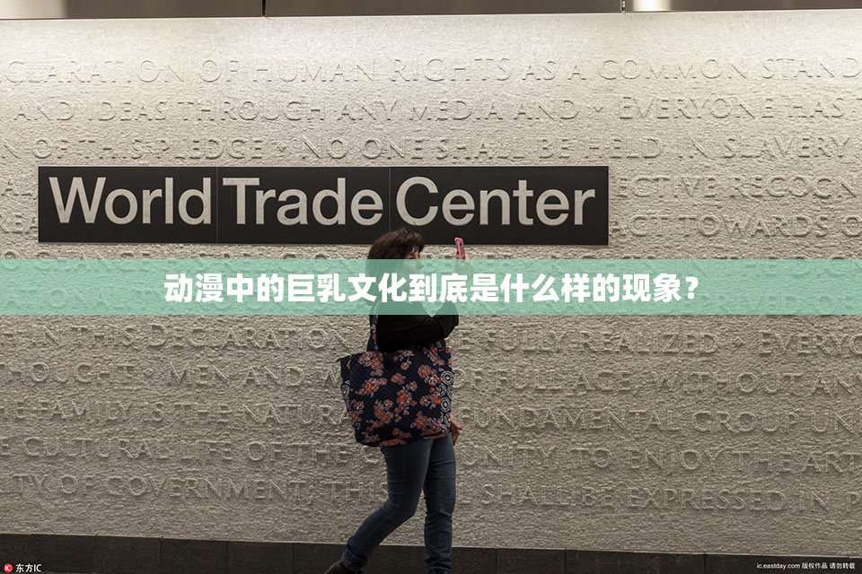 动漫中的巨乳文化到底是什么样的现象？
