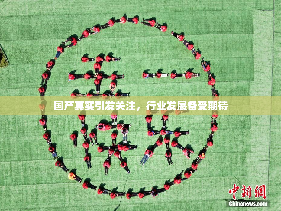国产真实引发关注，行业发展备受期待