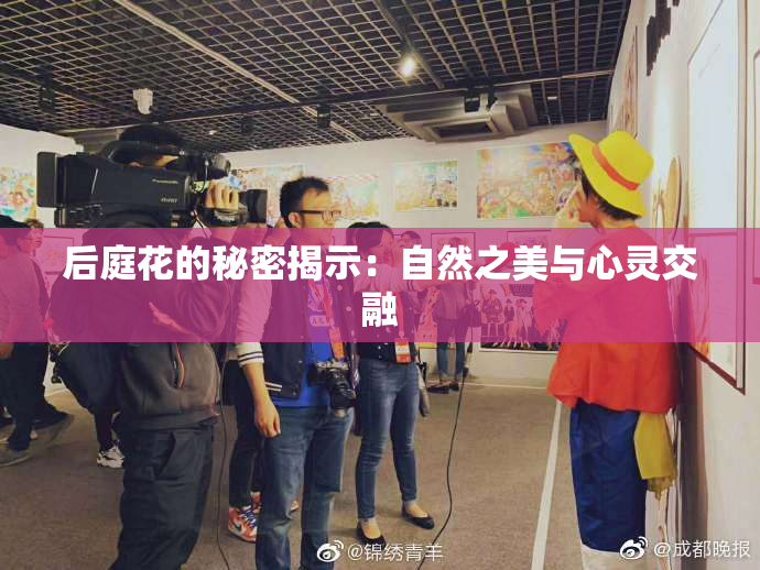 后庭花的秘密揭示：自然之美与心灵交融