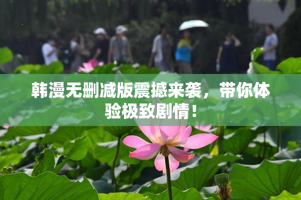 韩漫无删减版震撼来袭，带你体验极致剧情！