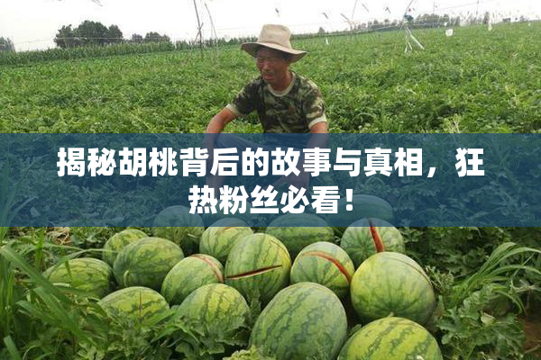 揭秘胡桃背后的故事与真相，狂热粉丝必看！