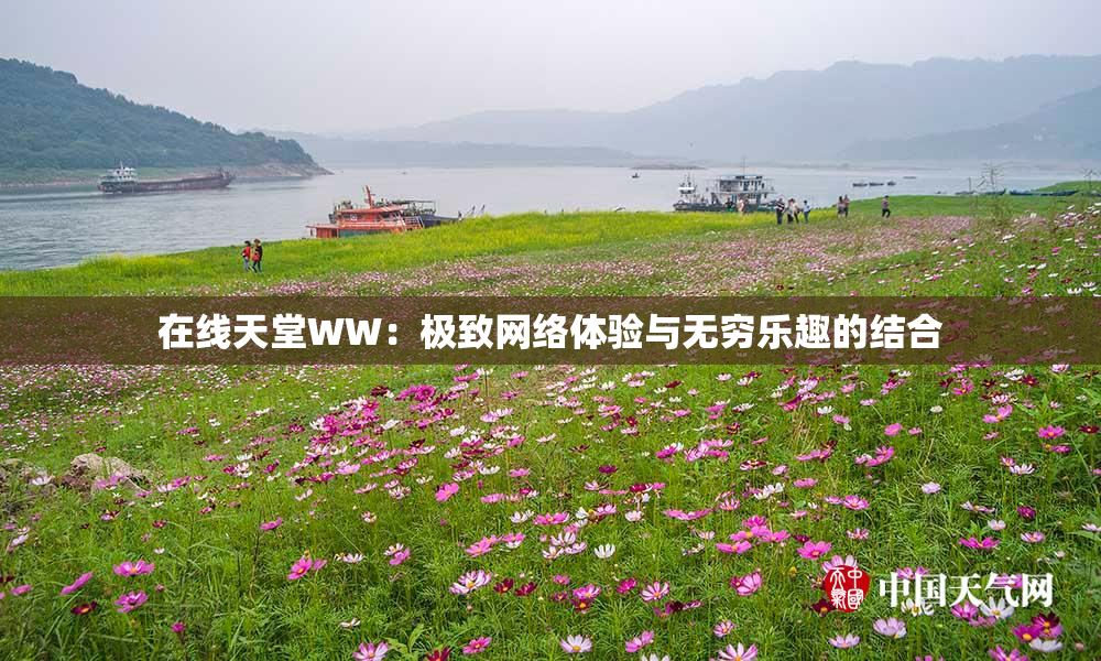 在线天堂WW：极致网络体验与无穷乐趣的结合