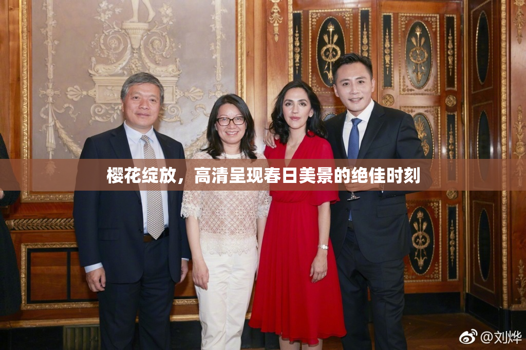 樱花绽放，高清呈现春日美景的绝佳时刻