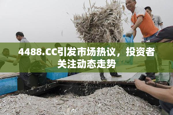 4488.CC引发市场热议，投资者关注动态走势