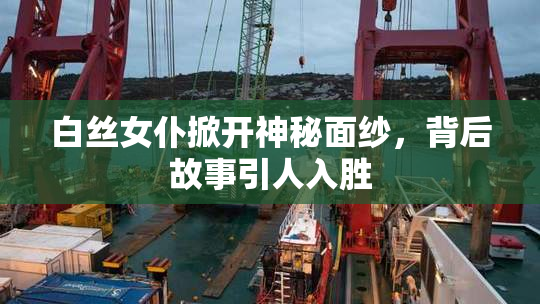 白丝女仆掀开神秘面纱，背后故事引人入胜