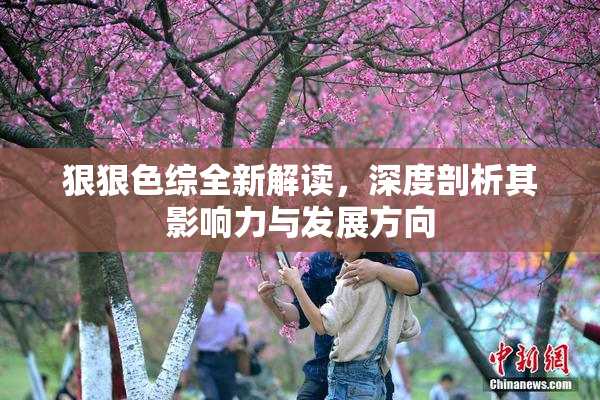 狠狠色综全新解读，深度剖析其影响力与发展方向