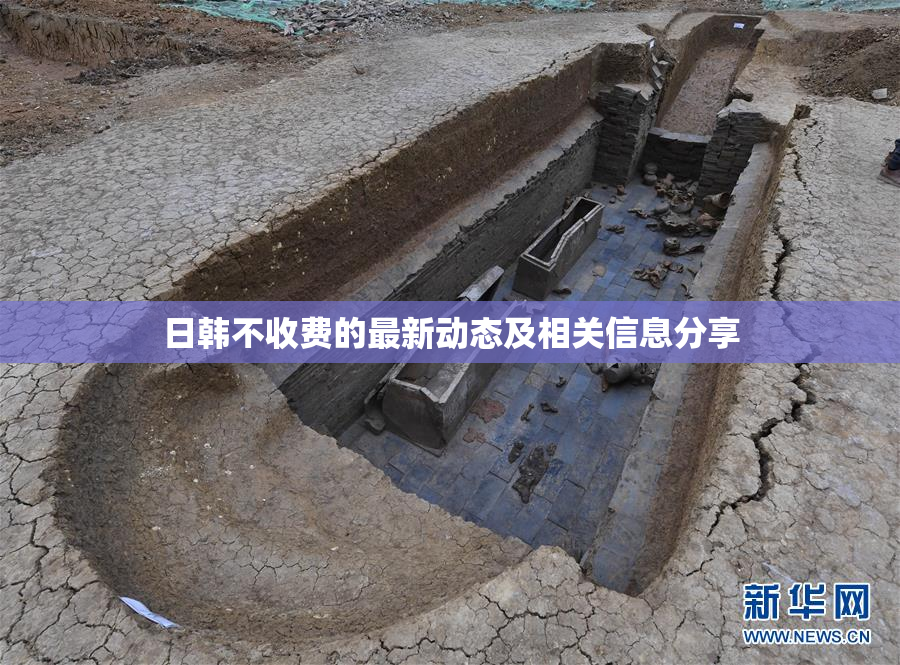 日韩不收费的最新动态及相关信息分享