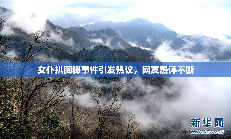 女仆扒胸秘事件引发热议，网友热评不断