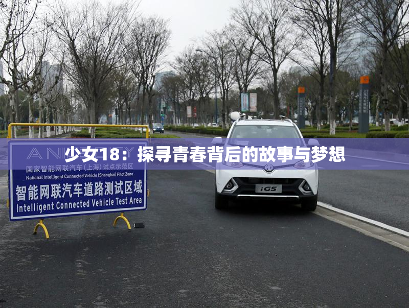 少女18：探寻青春背后的故事与梦想