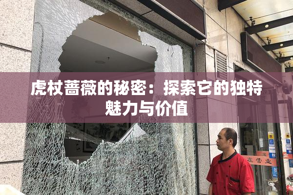 虎杖蔷薇的秘密：探索它的独特魅力与价值