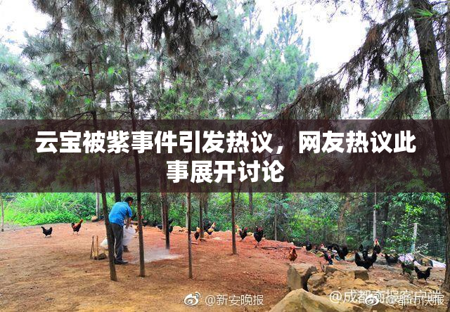 云宝被紫事件引发热议，网友热议此事展开讨论