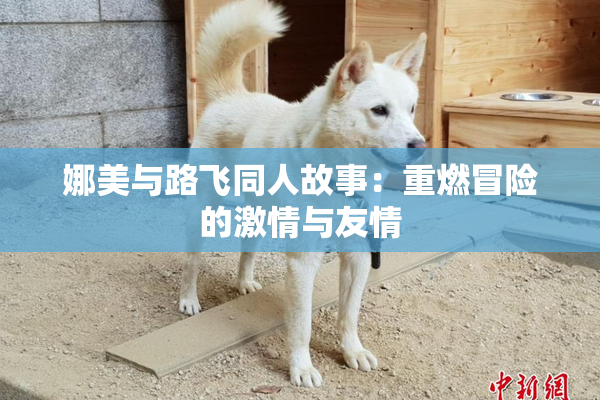 娜美与路飞同人故事：重燃冒险的激情与友情