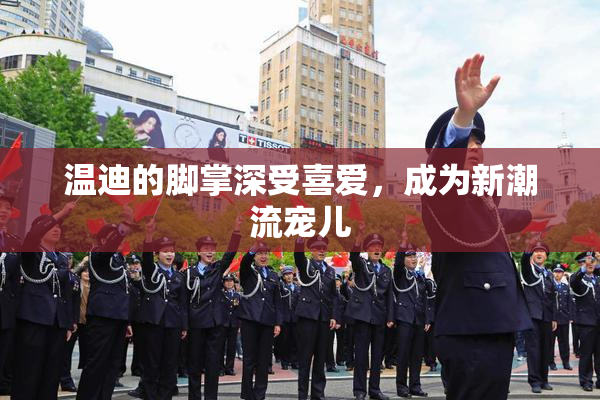 温迪的脚掌深受喜爱，成为新潮流宠儿