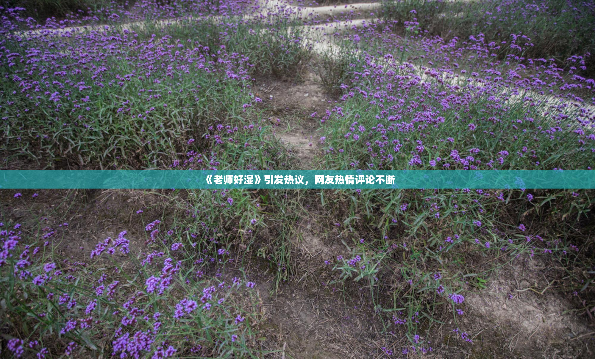 《老师好湿》引发热议，网友热情评论不断
