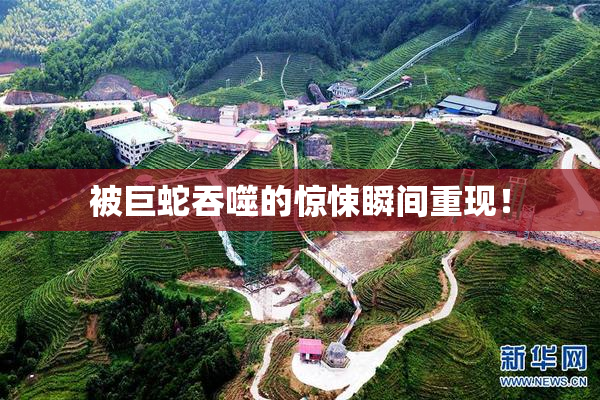 被巨蛇吞噬的惊悚瞬间重现！