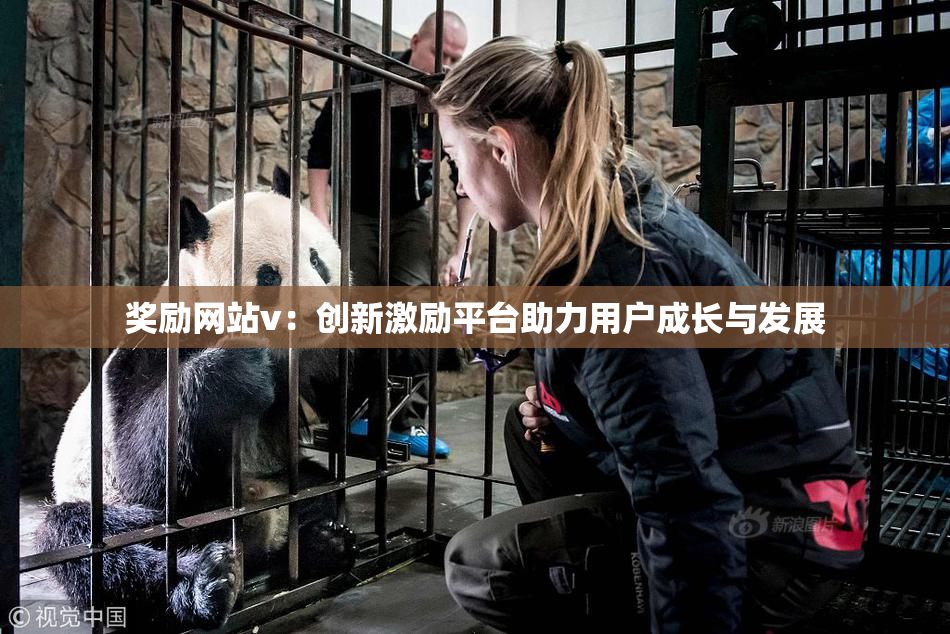 奖励网站v：创新激励平台助力用户成长与发展
