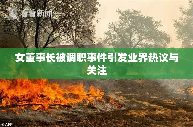 女董事长被调职事件引发业界热议与关注