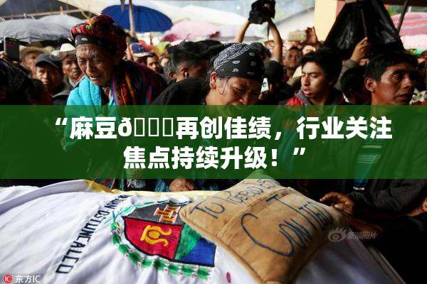 “麻豆🔞再创佳绩，行业关注焦点持续升级！”