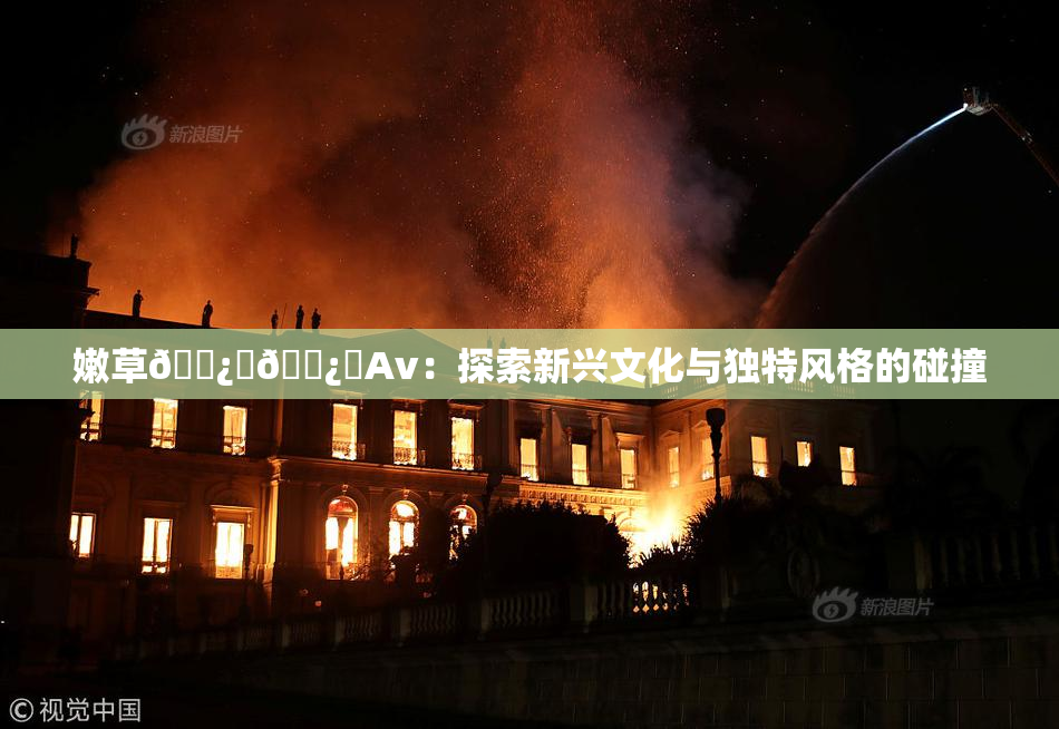 嫩草🌿‌🌿‌Av：探索新兴文化与独特风格的碰撞