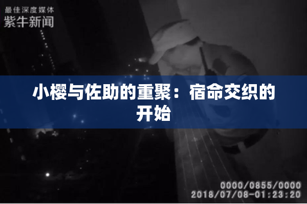 小樱与佐助的重聚：宿命交织的开始