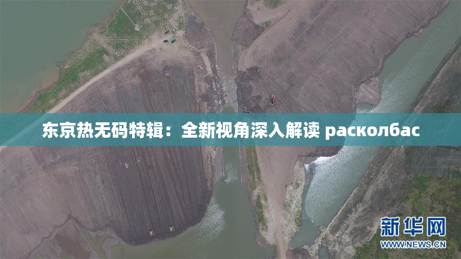 东京热无码特辑：全新视角深入解读 расколбас