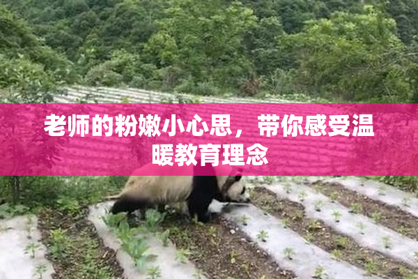 老师的粉嫩小心思，带你感受温暖教育理念