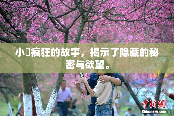 小泬疯狂的故事，揭示了隐藏的秘密与欲望。